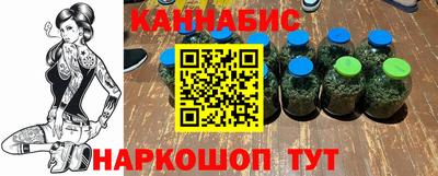 apvp Кингисепп