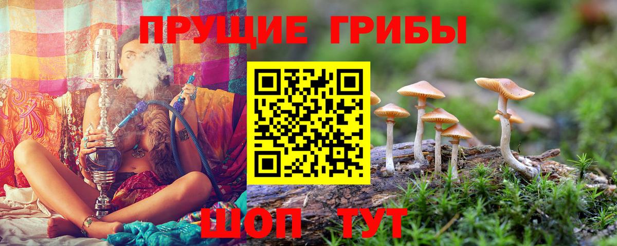 Галлюциногенные грибы прущие грибы Чита